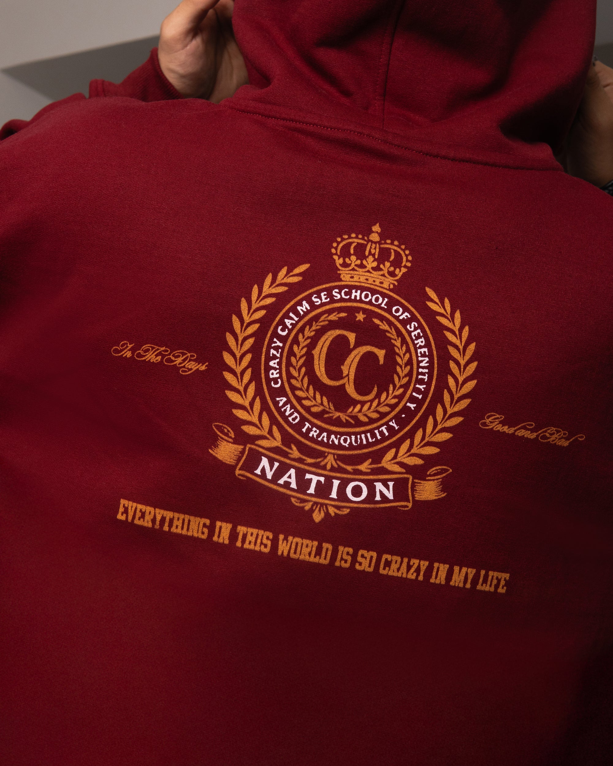 Polera Restricted Vino