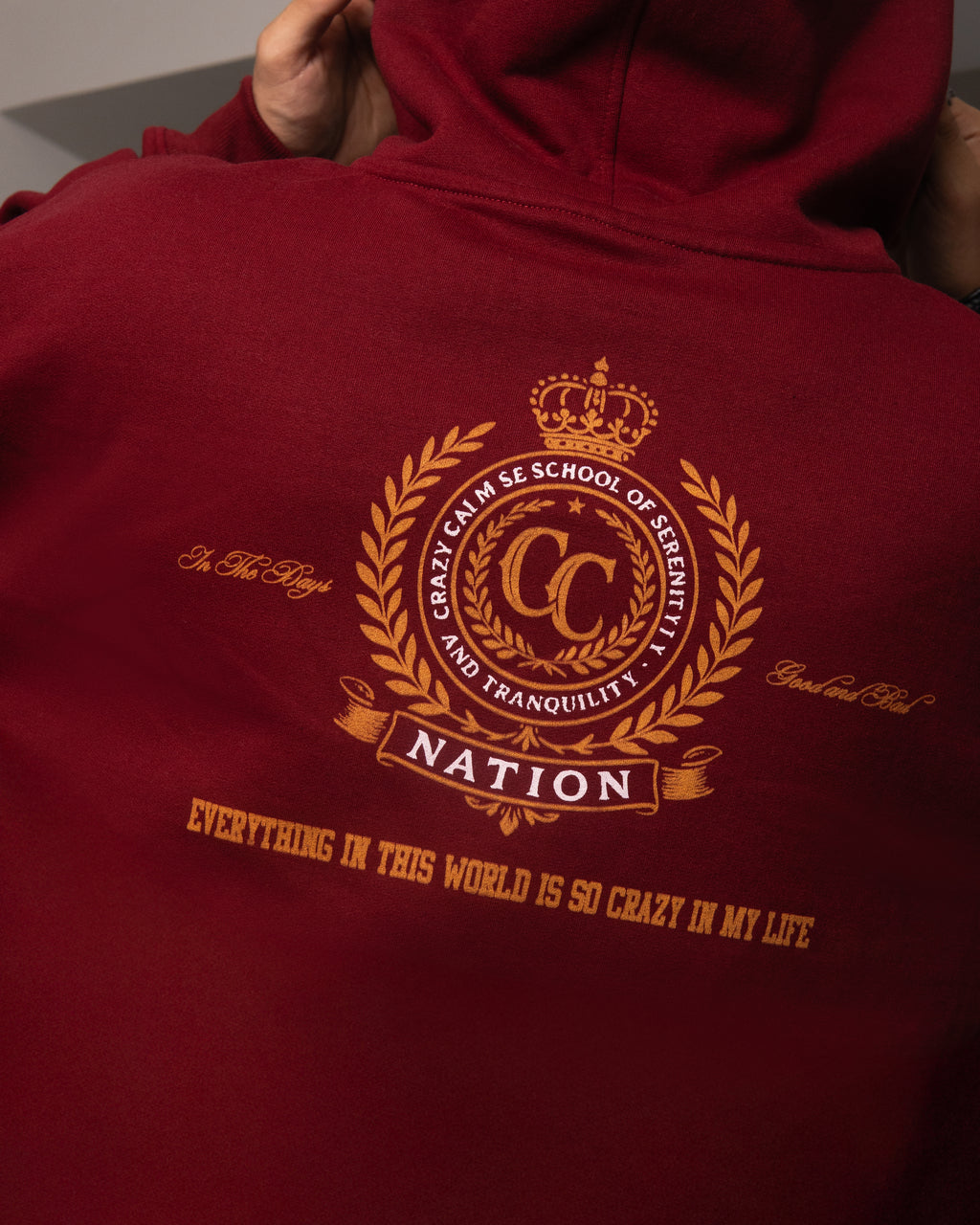 Polera Restricted Vino